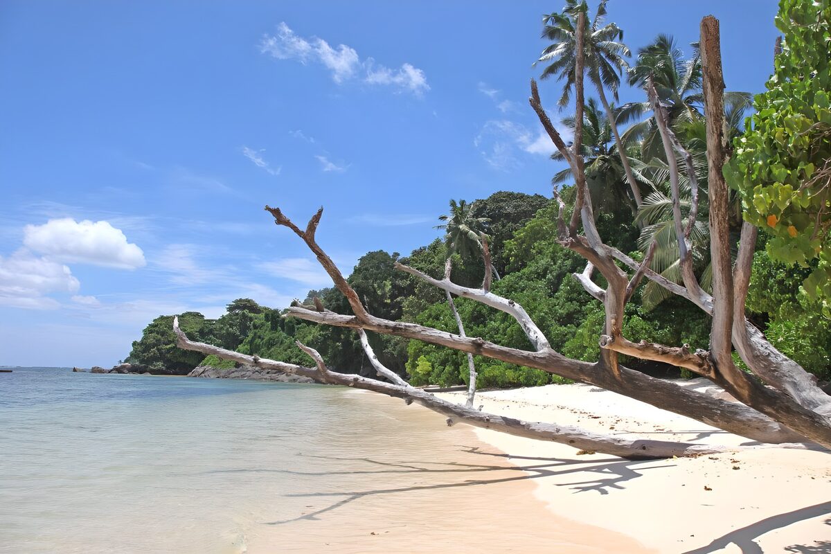 TPFR34630: Plage tranquille au bord de l'océan