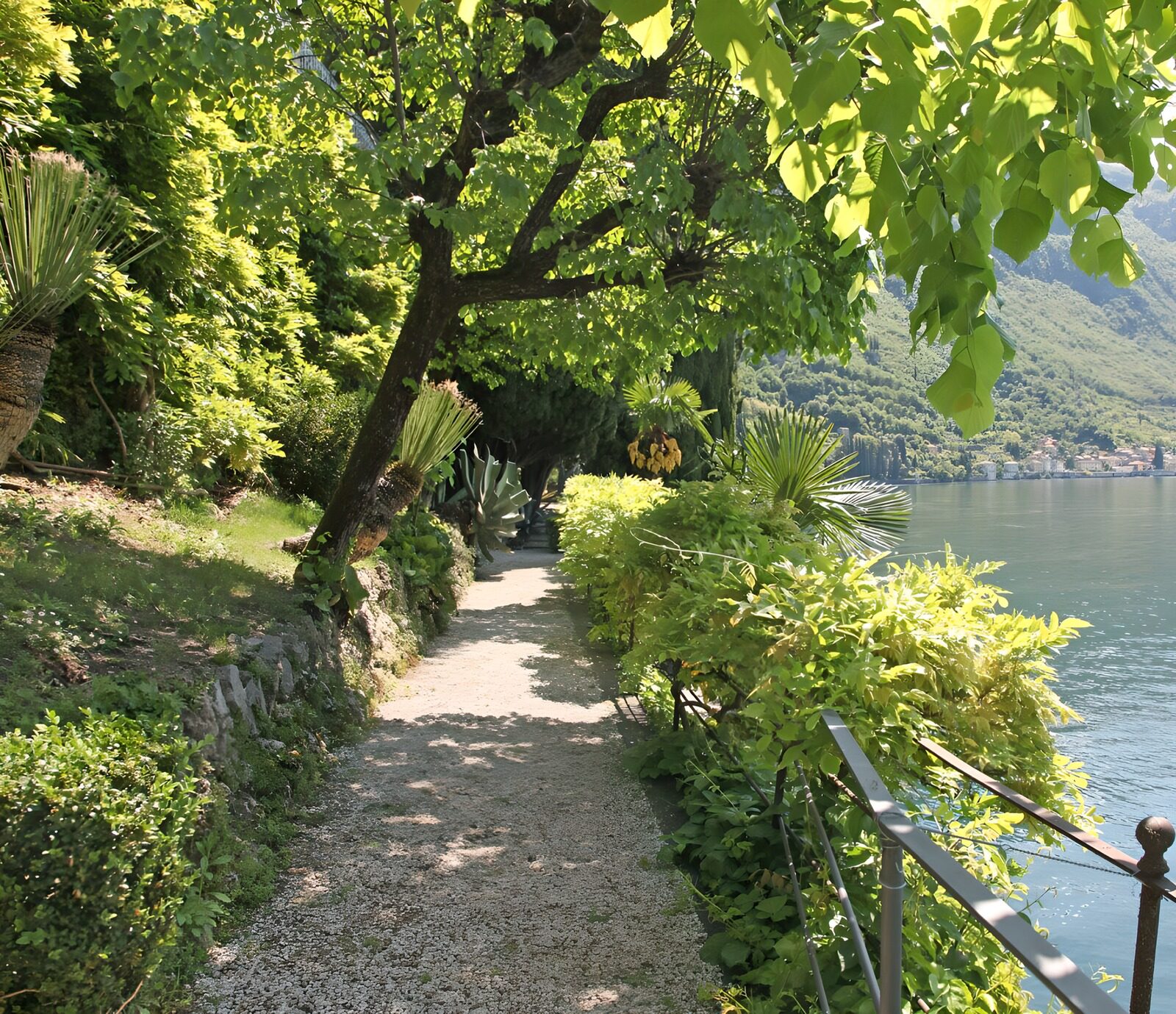 TPFR34396: Promenade au bord du lac verdoyant