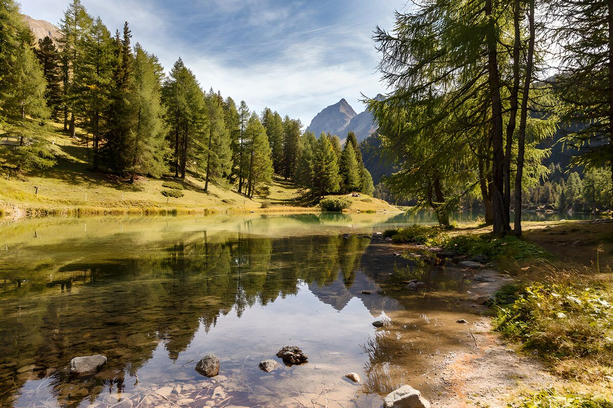TPFR51564: Reflets paisibles dans la nature