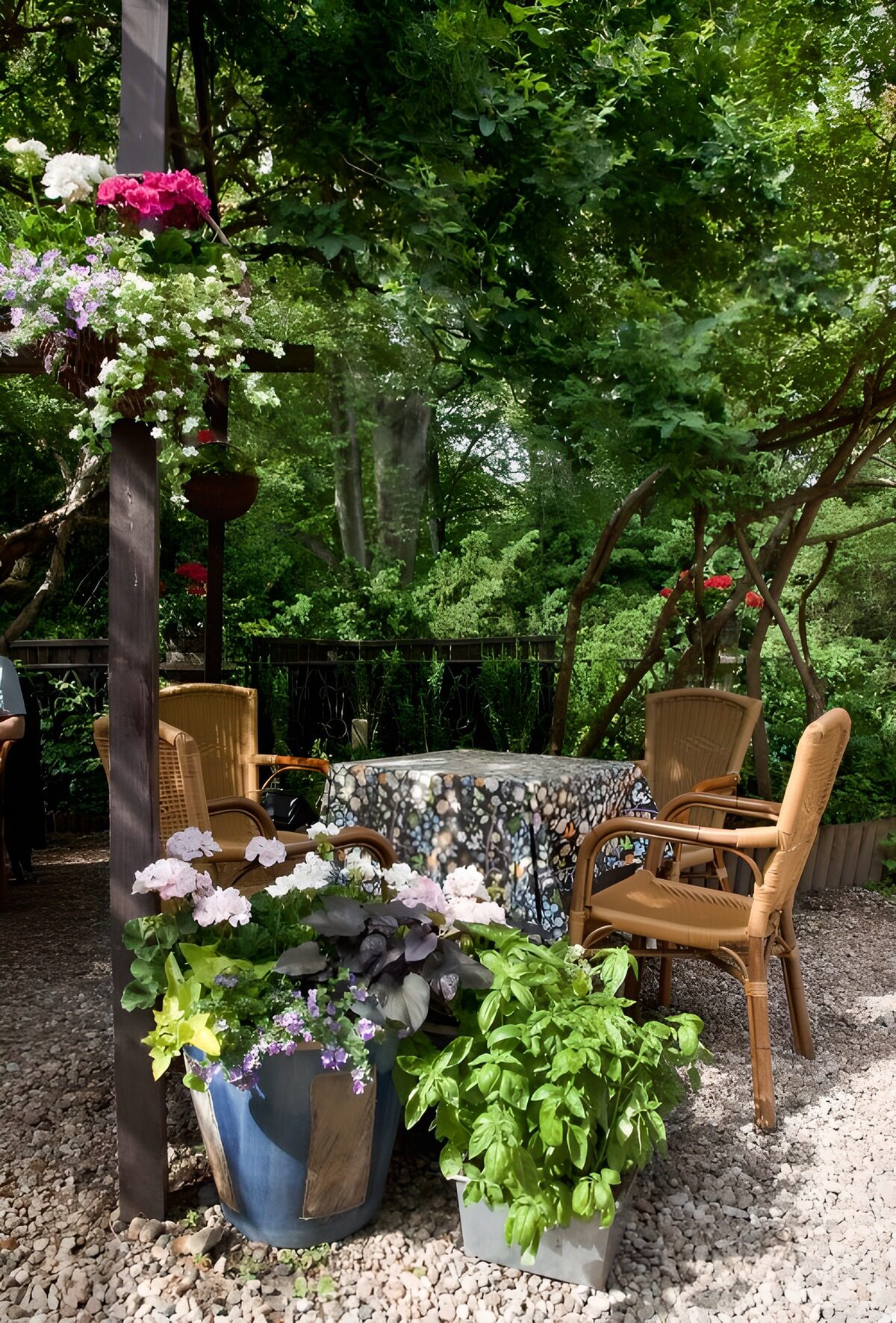 TPFR41307: Coin de détente floral au jardin