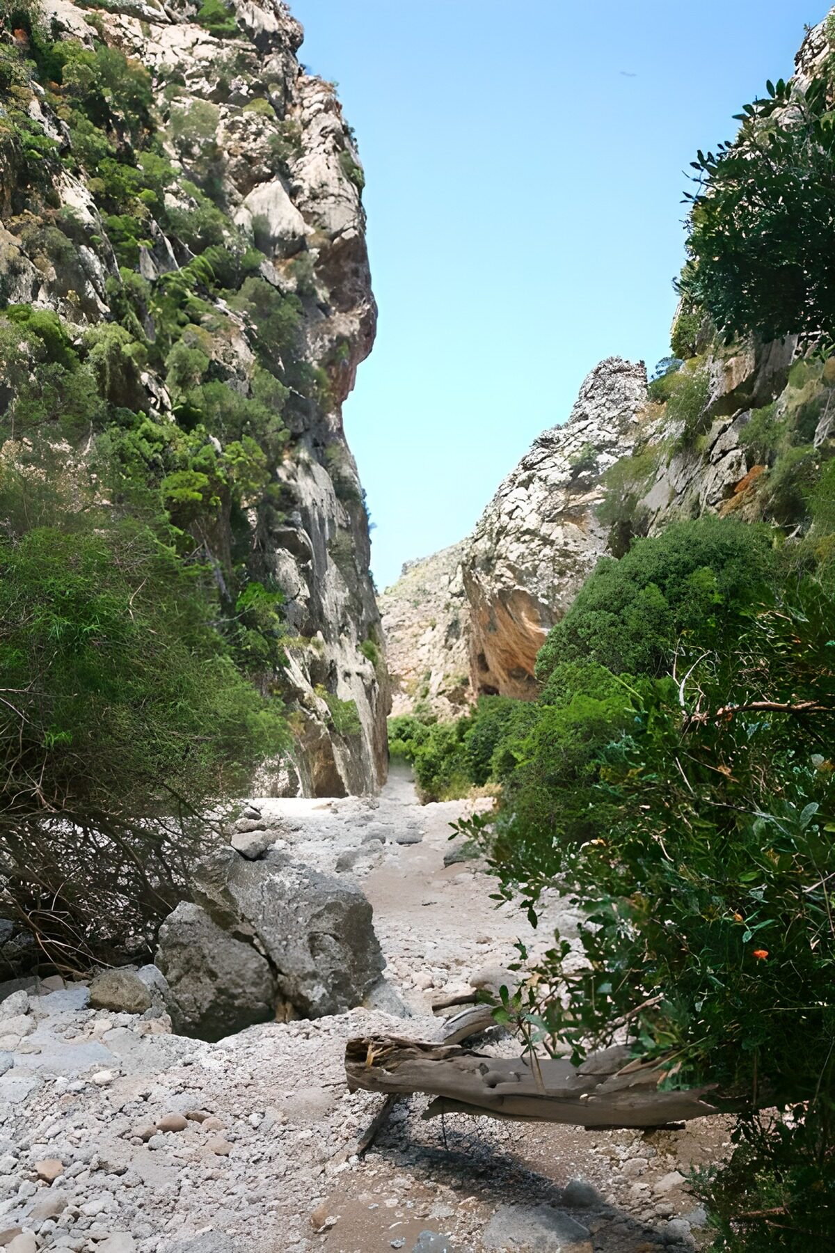 Sentier à travers des rochers