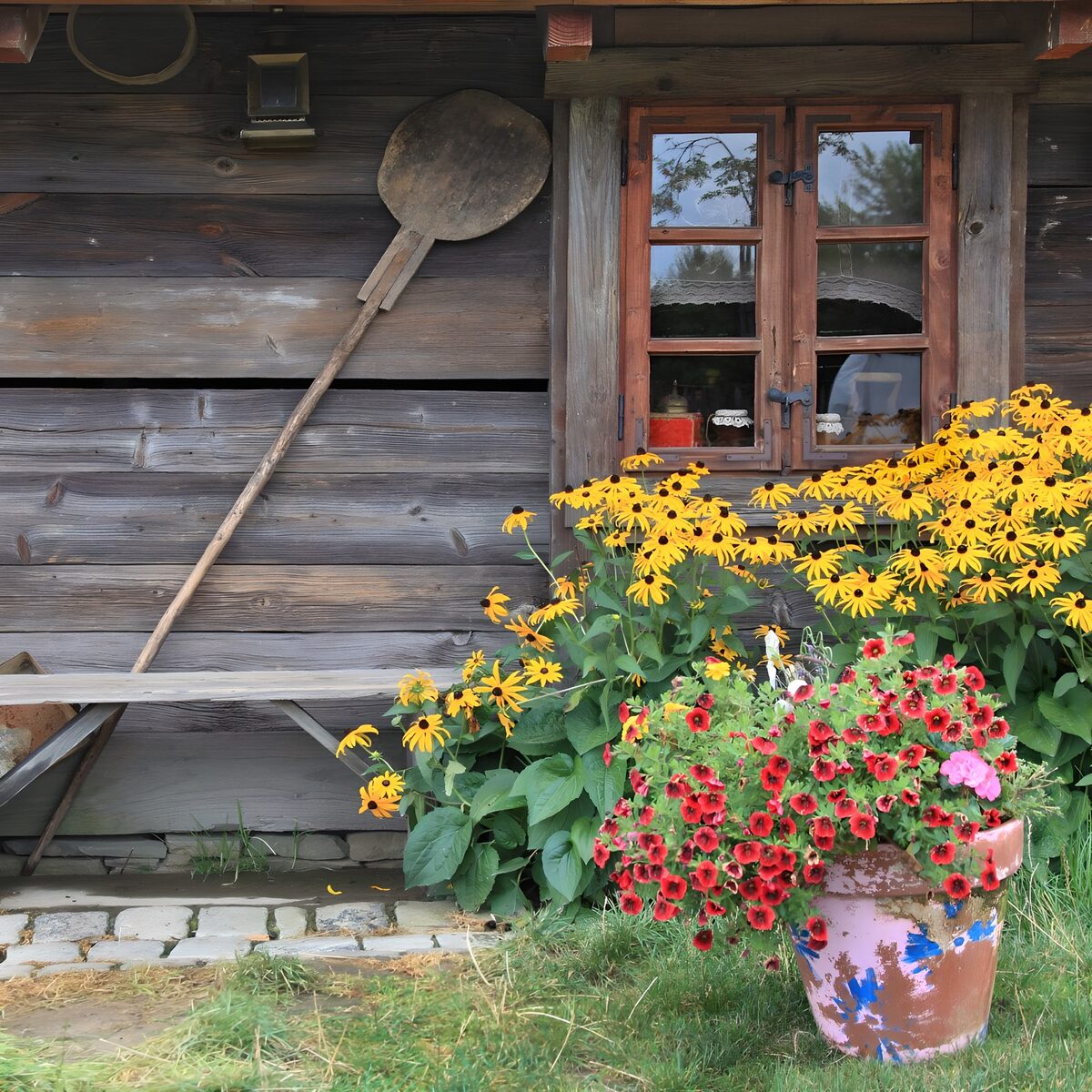 TPFR63454: Maison de campagne avec fleurs colorées