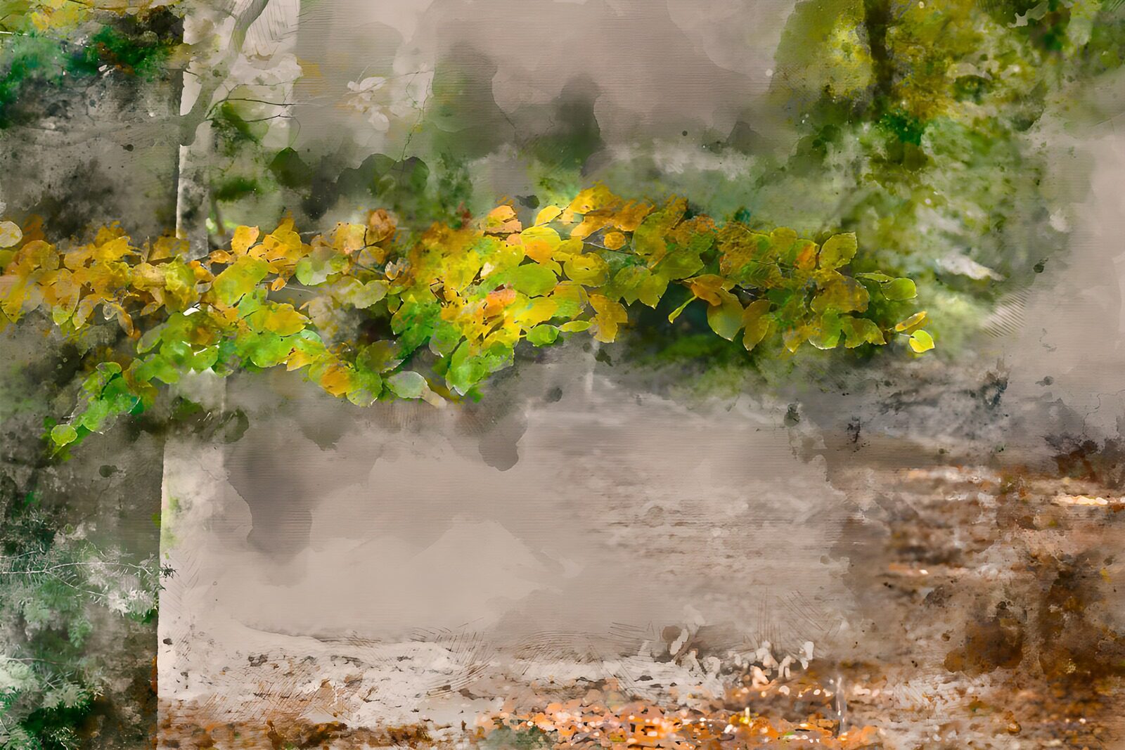 TPFR12878: Feuilles d'automne dans la brume