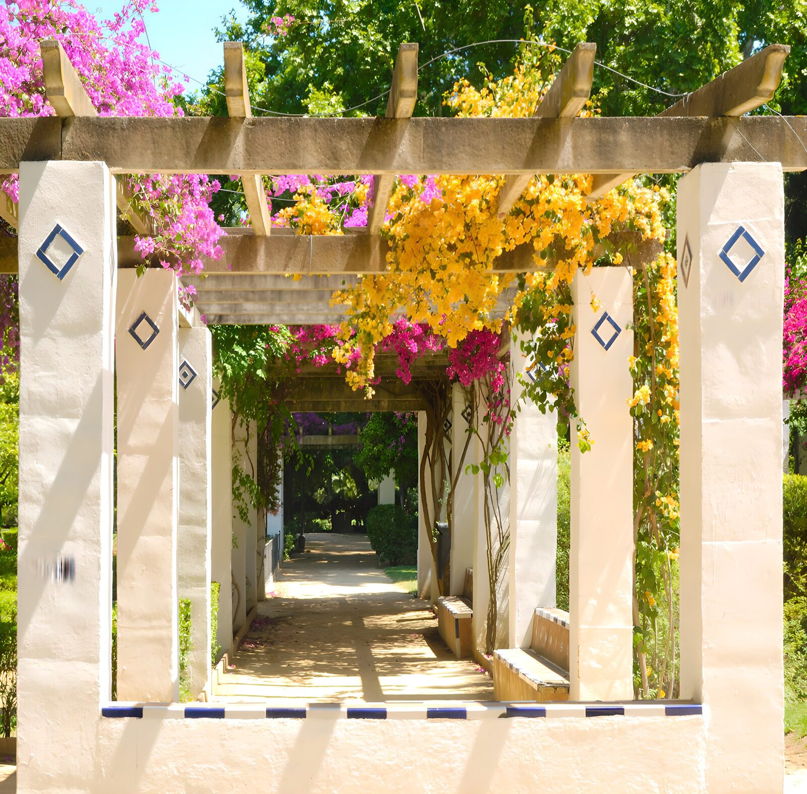 TPFR31229: Allée fleurie sous une pergola