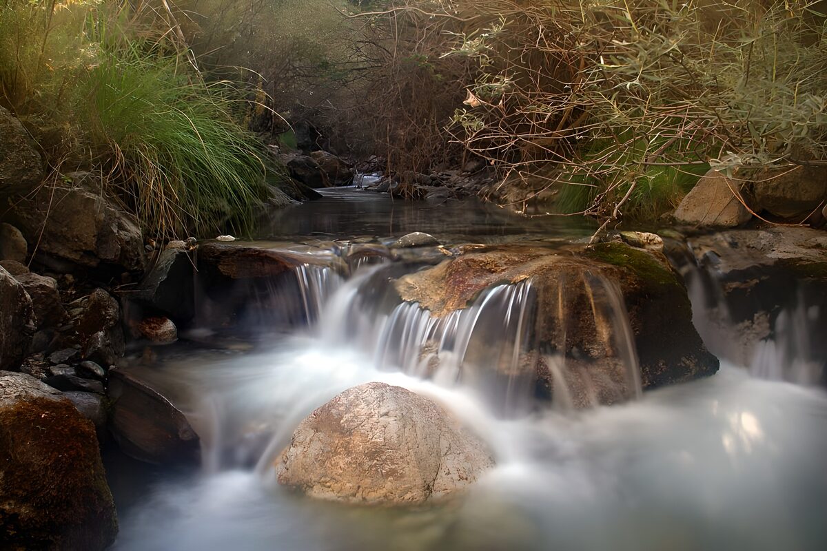 TPFR75563: Ruisseau paisible au cœur de la nature