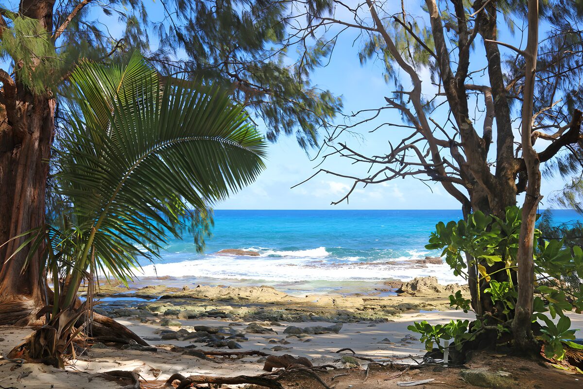TPFR72652: Plage paisible et nature luxuriante