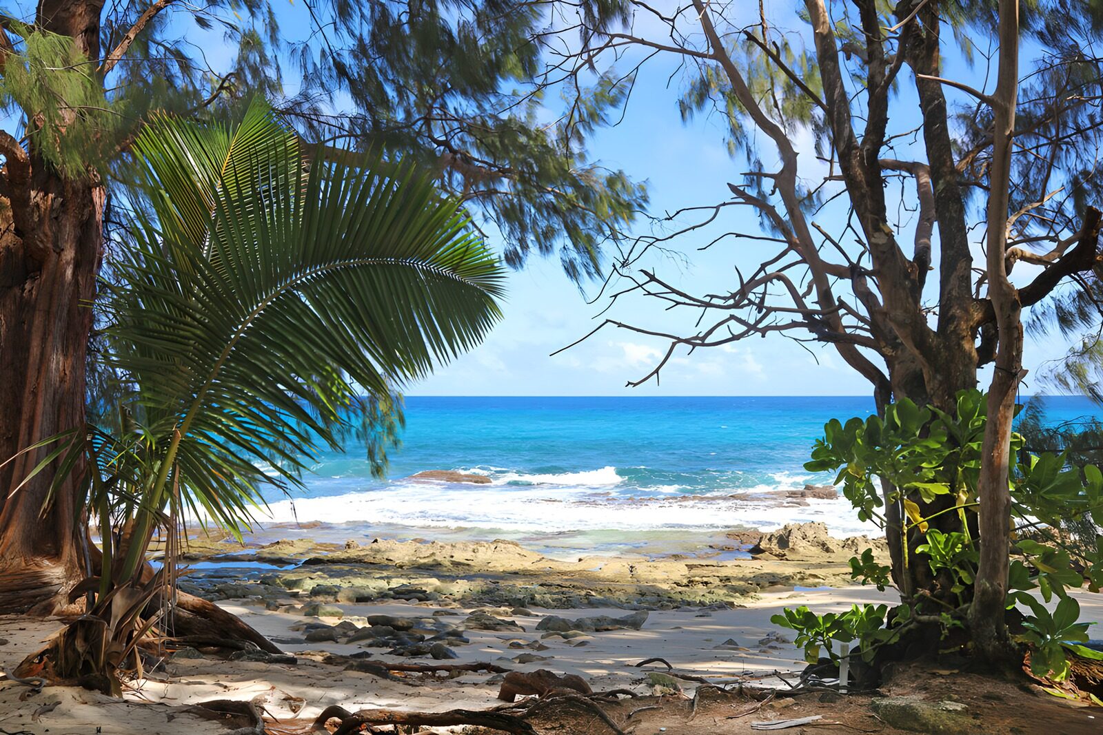 TPFR72652: Plage paisible et nature luxuriante
