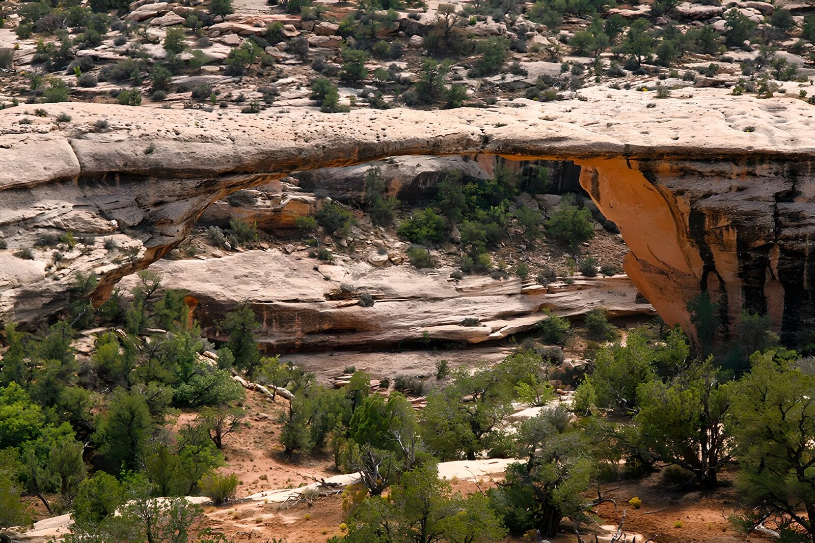 TPFR61797: Arc naturel dans le paysage désertique
