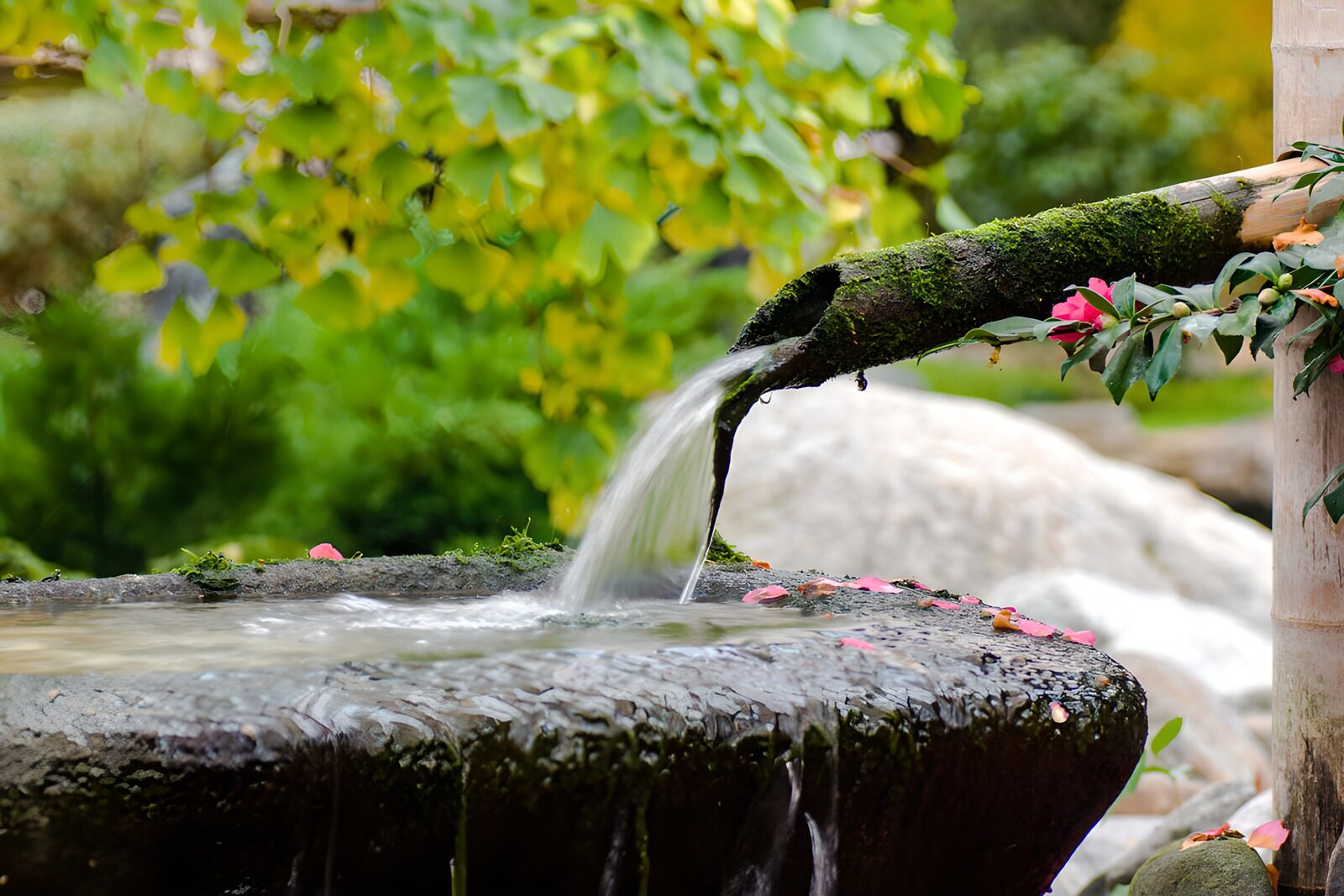 TPFR76679: Fontaine tranquille au jardin