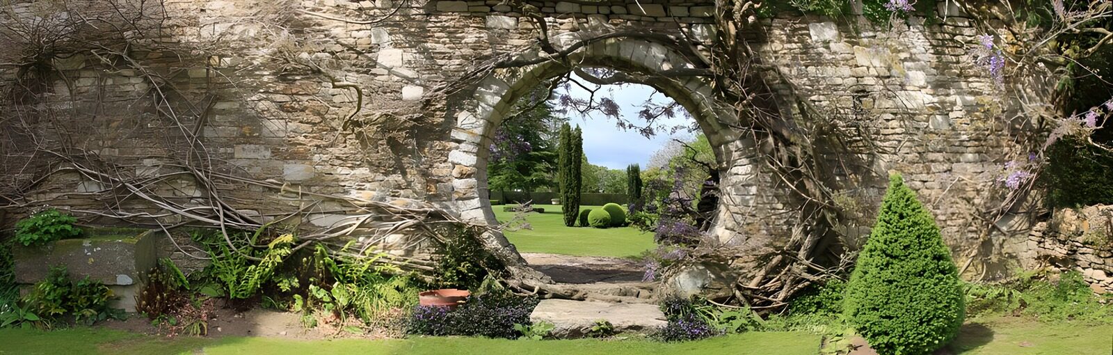 TPFR78769: Porte magique du jardin verdoyant