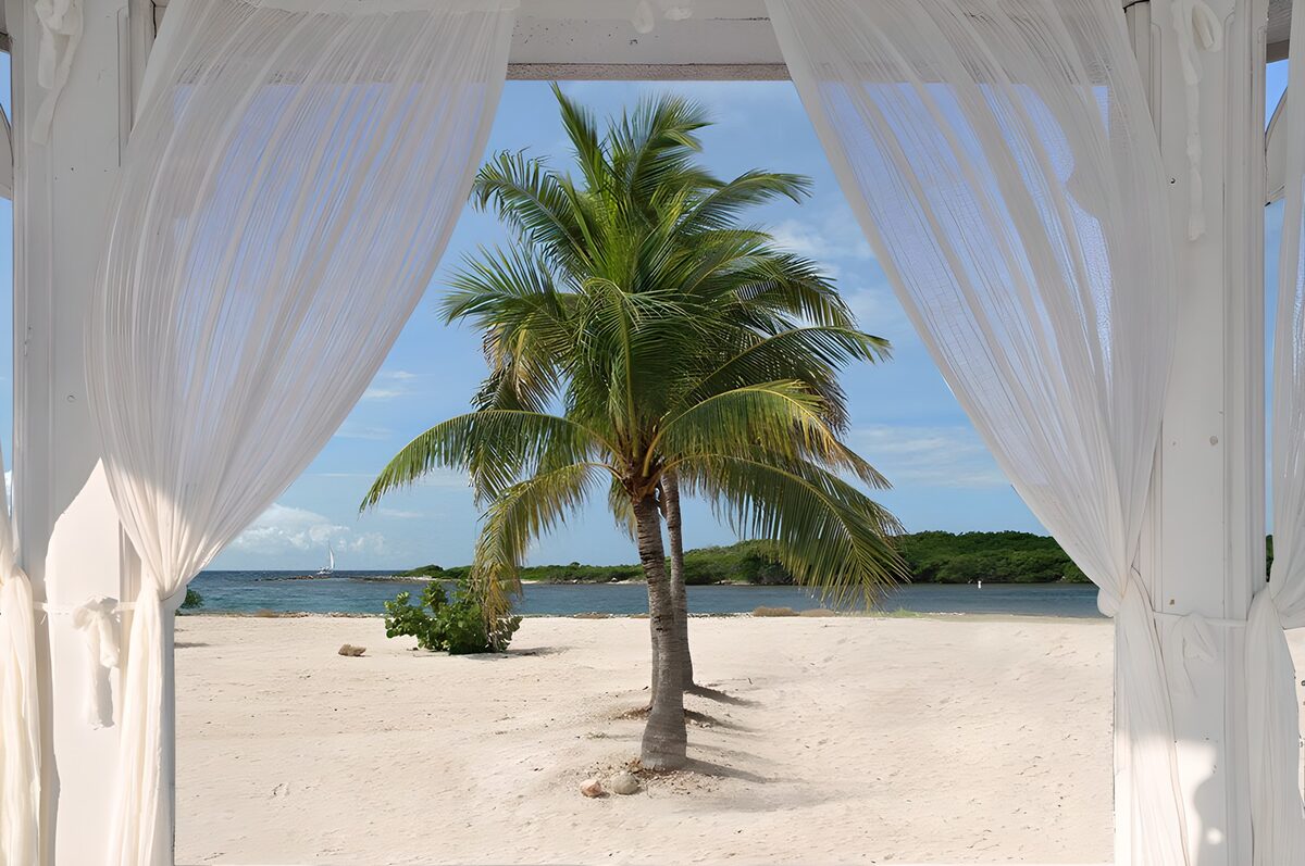 TPFR69392: Paradis tropical sous un auvent