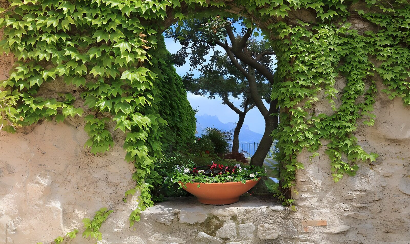 TPFR38558: Jardin secret entre les murs