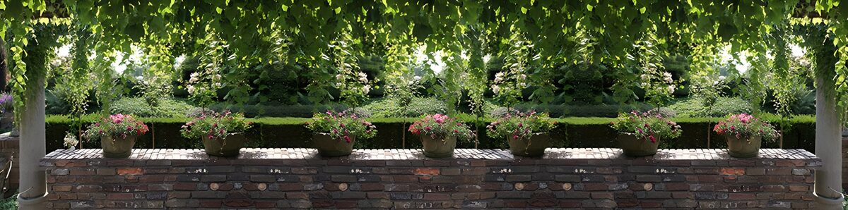 TPFR57129: Jardin fleuri et paisible