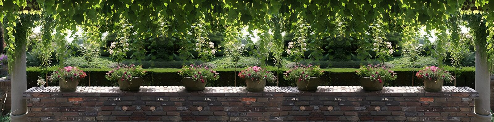 TPFR57129: Jardin fleuri et paisible