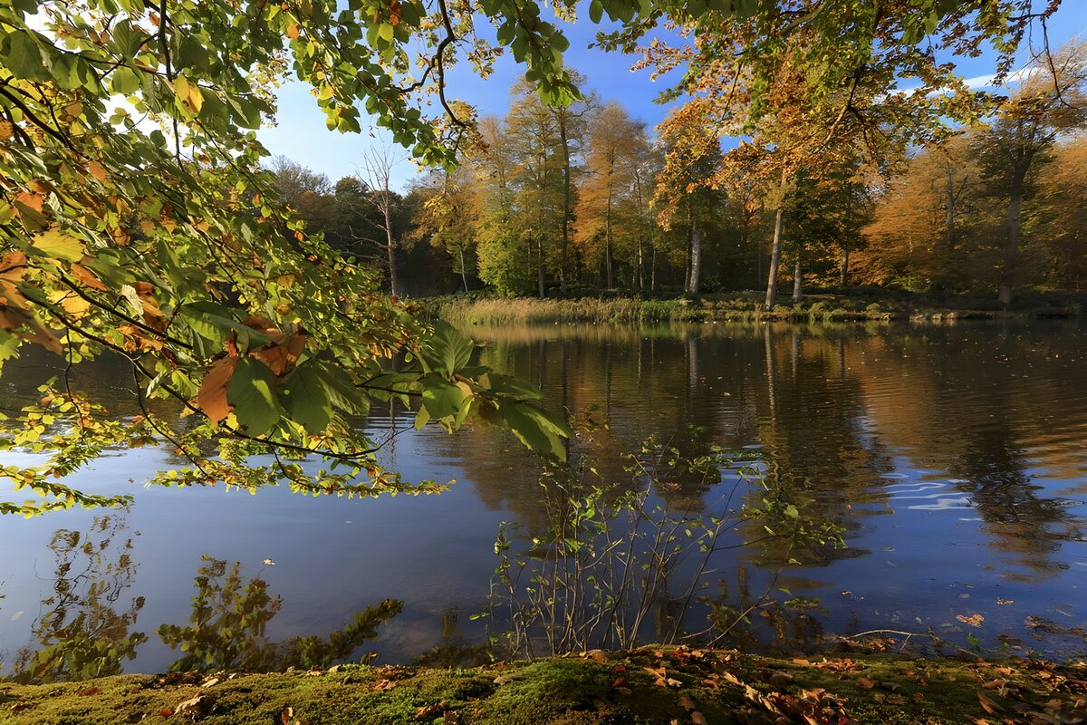 Reflet d'automne au bord de l'eau