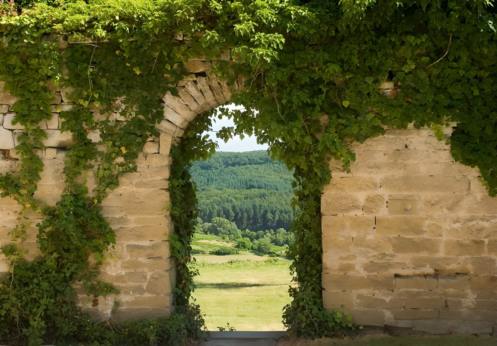 TPFR34758: Mur envahi de plantes grimpantes et accès au jardin