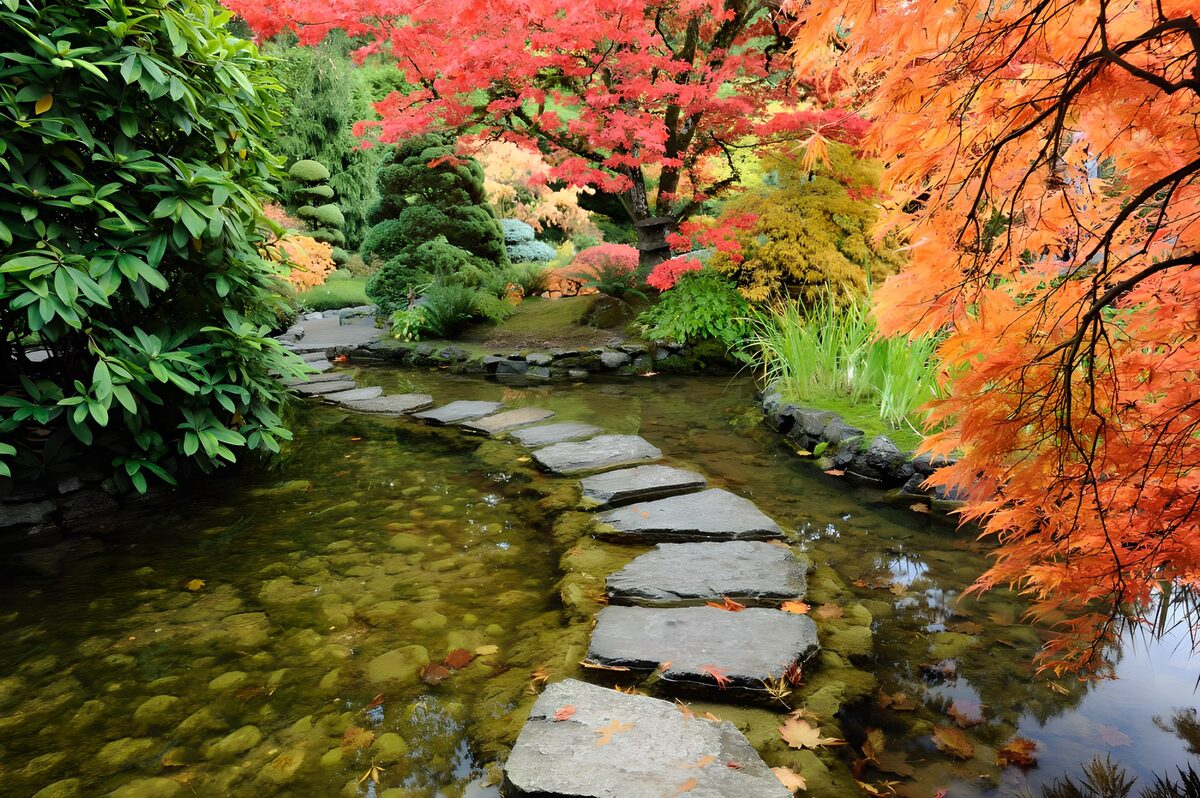 TPFR11574: Jardin d'automne paisible et coloré