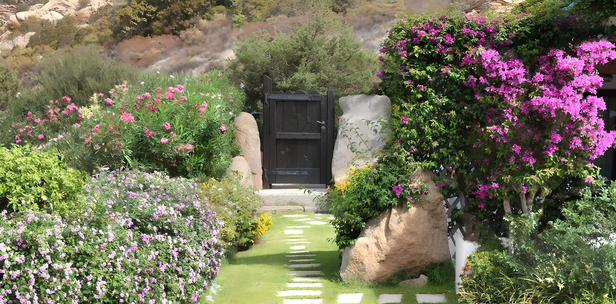 TPFR25702: Jardin fleuri avec une porte mystérieuse