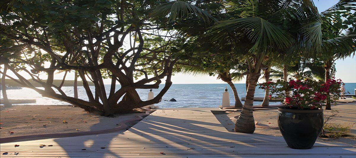 TPFR63182: Plage paisible au coucher de soleil