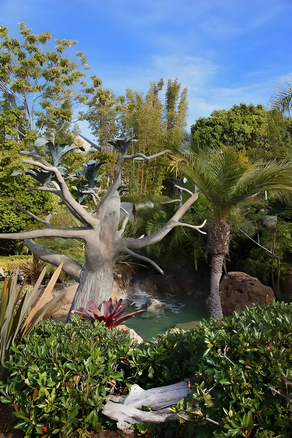 TPFR82740: Palmiers et arbre sans feuilles près d'une petite cascade
