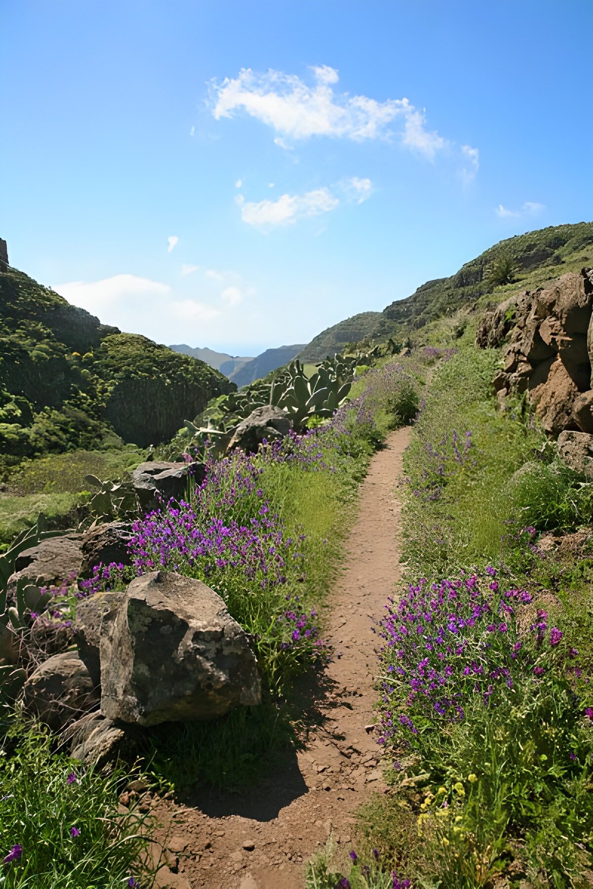 TPFR52787: La Gomera 7