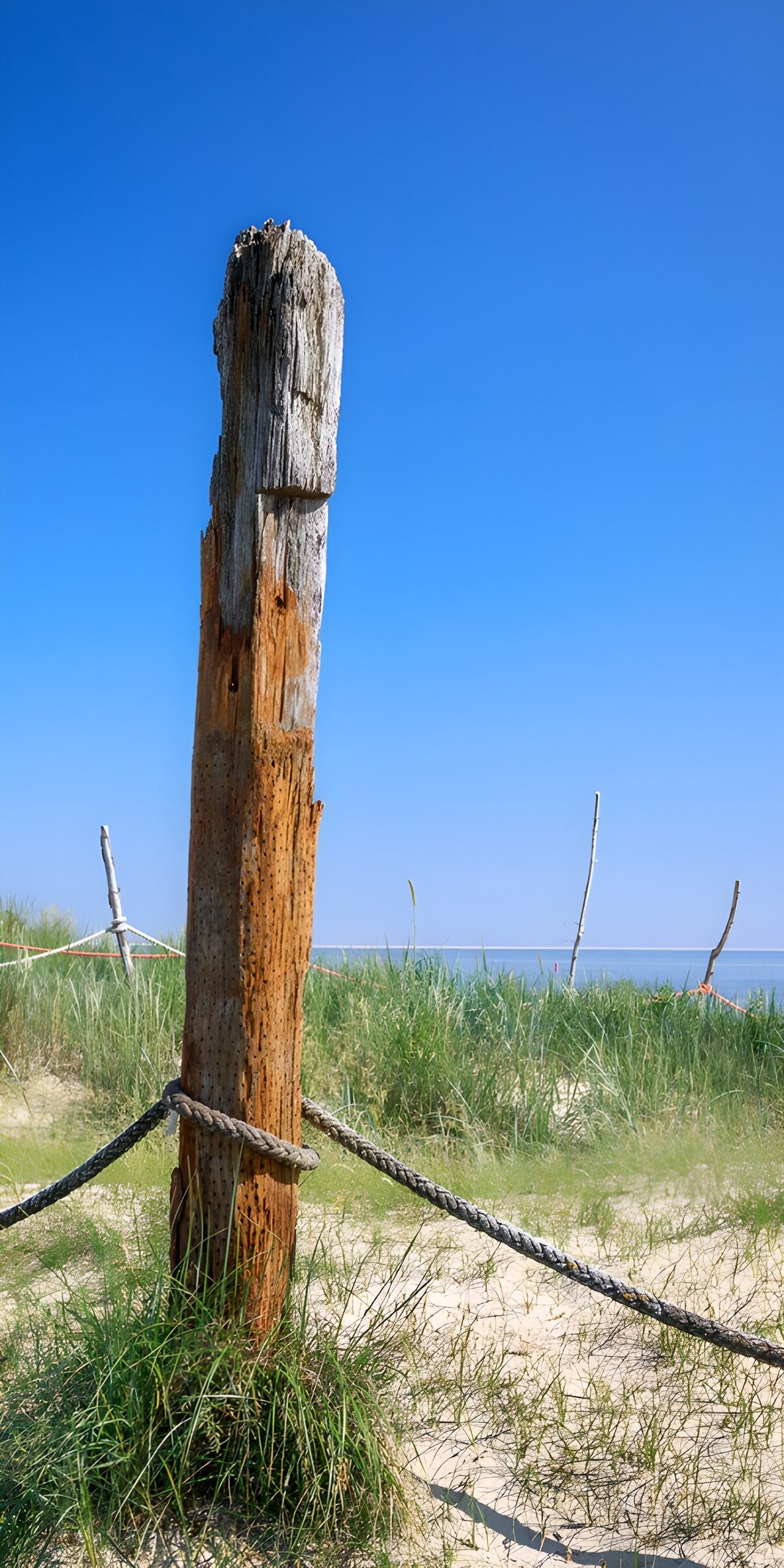 TPFR77159: Poteau en bois au bord de la mer