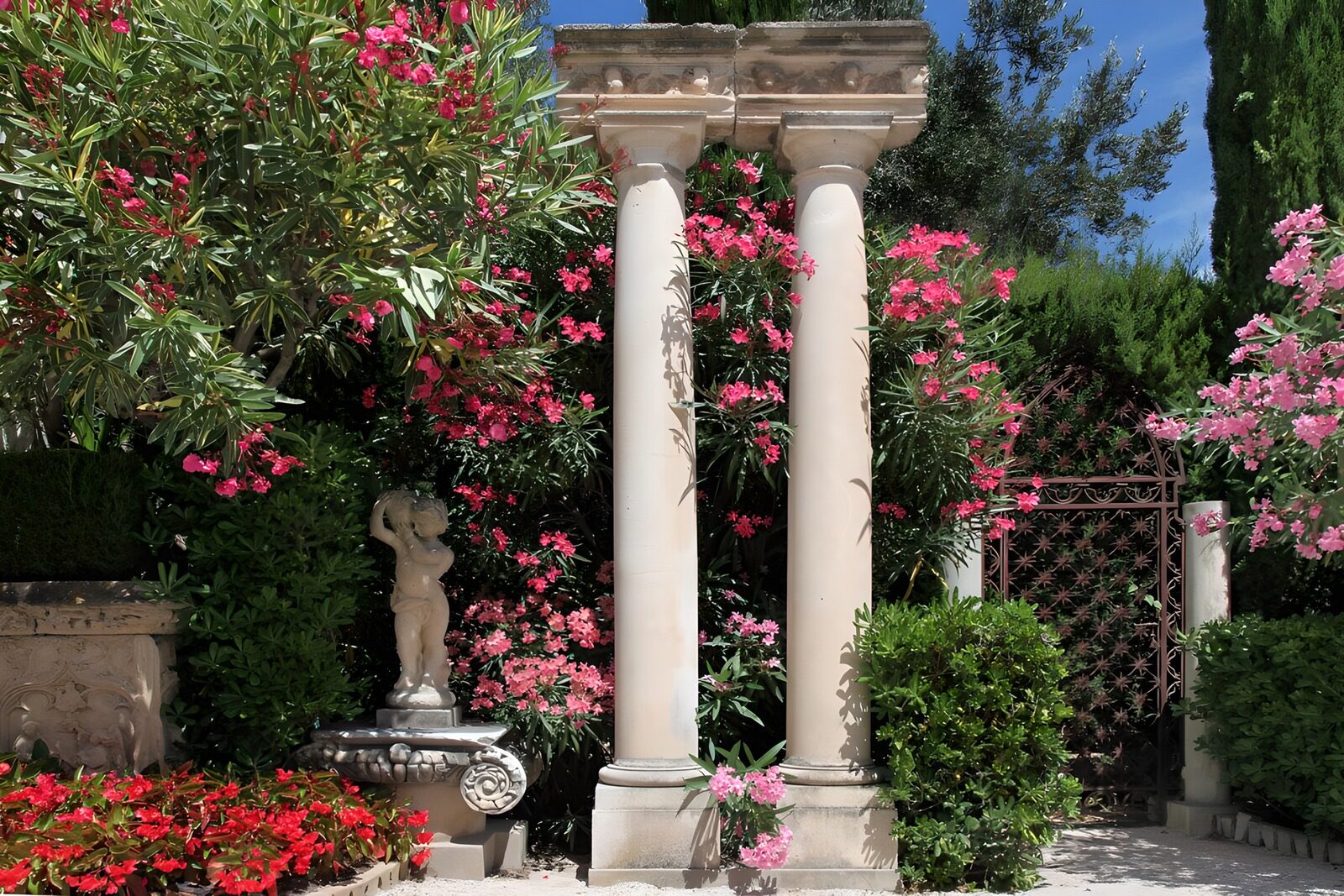 TPFR14430: Jardin fleuri avec colonnes antiques