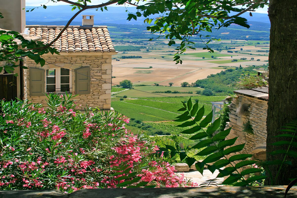 TPFR67798: Vue panoramique sur la campagne en fleurs
