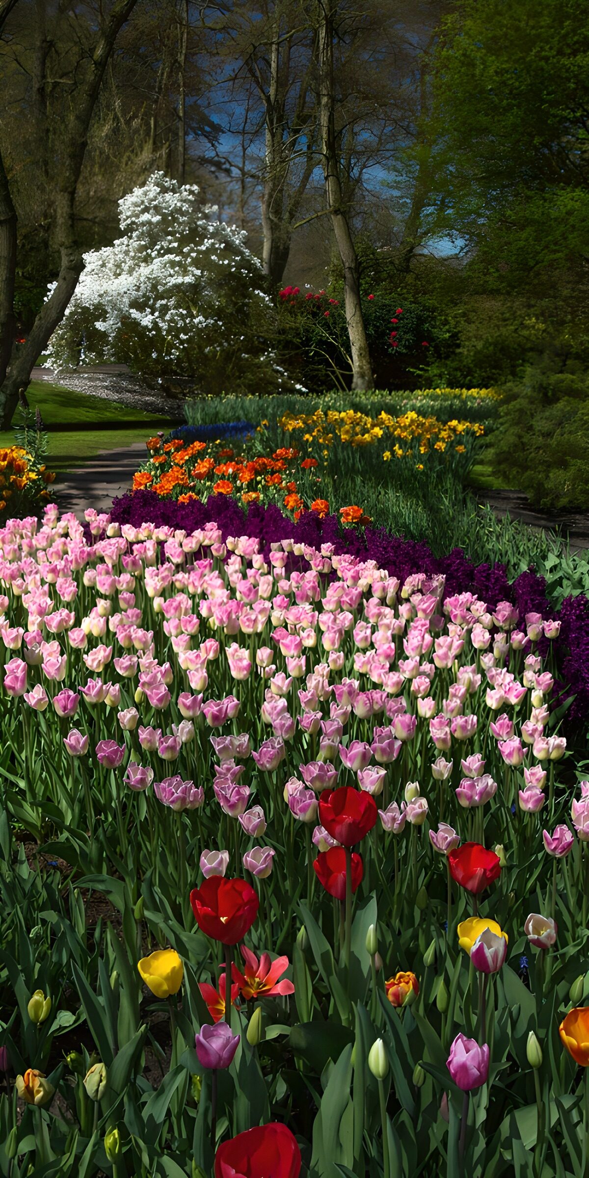 TPFR33980: Jardins en fleurs au printemps