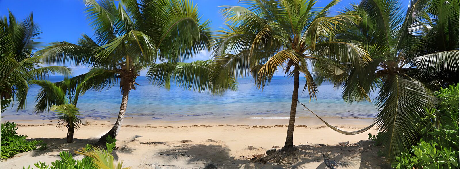 TPFR40292: Plage paradisiaque sous les palmiers