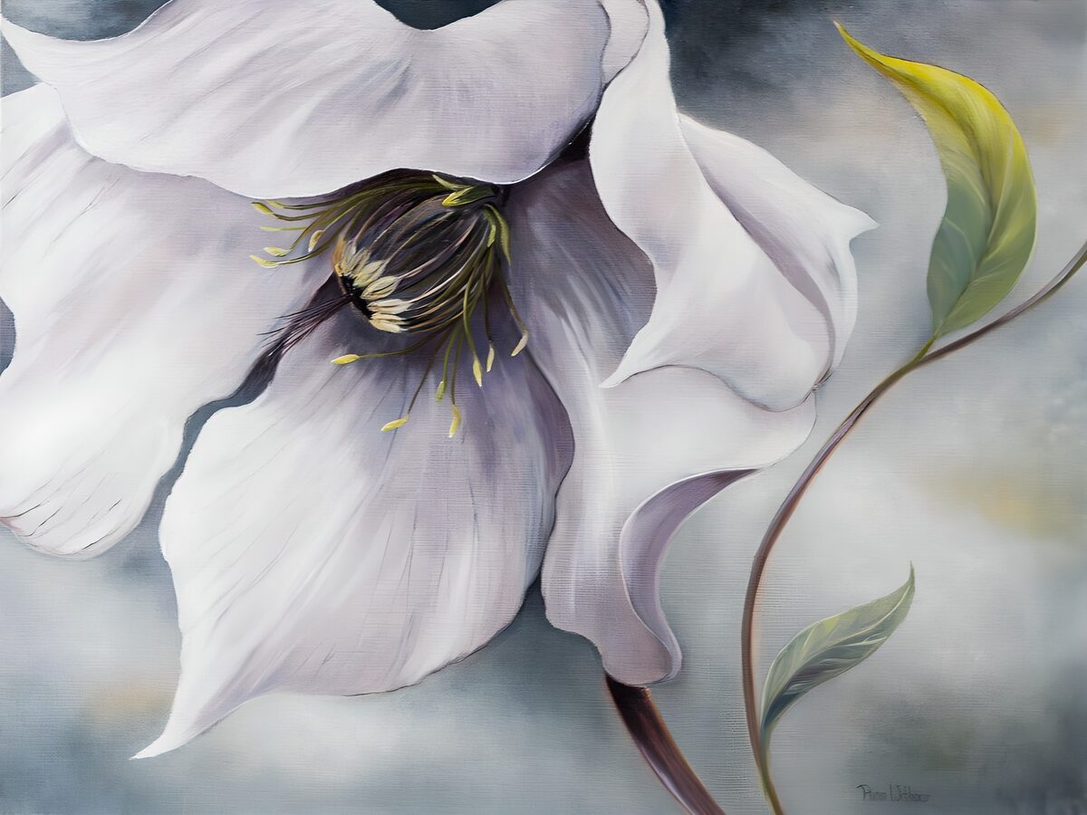 TPFR17757: Fleur blanche élégante