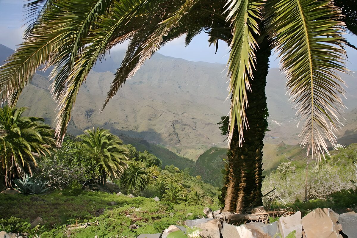 TPFR44808: La Gomera 18