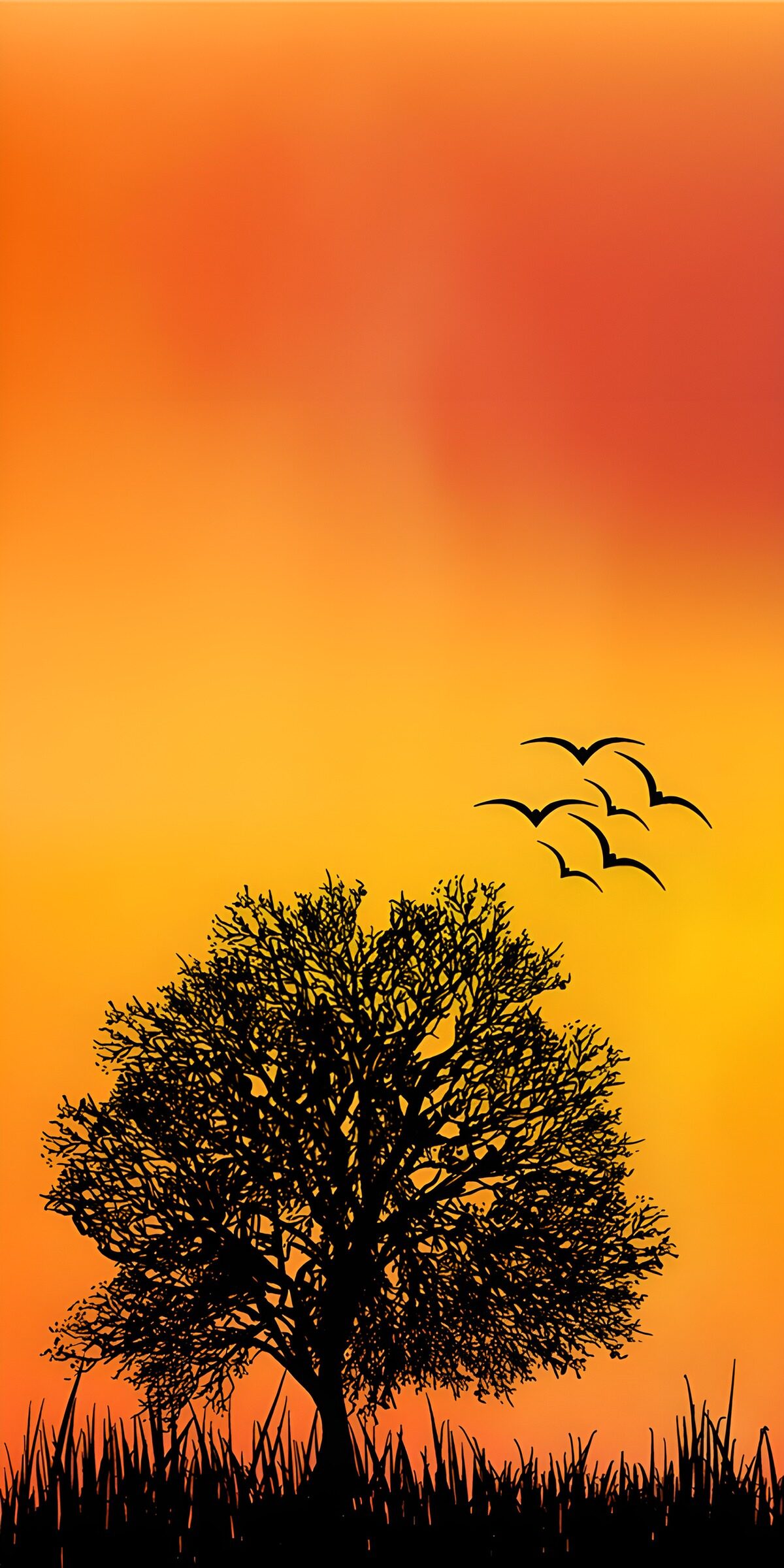 TPFR28851: Silhouette d'arbre au coucher de soleil