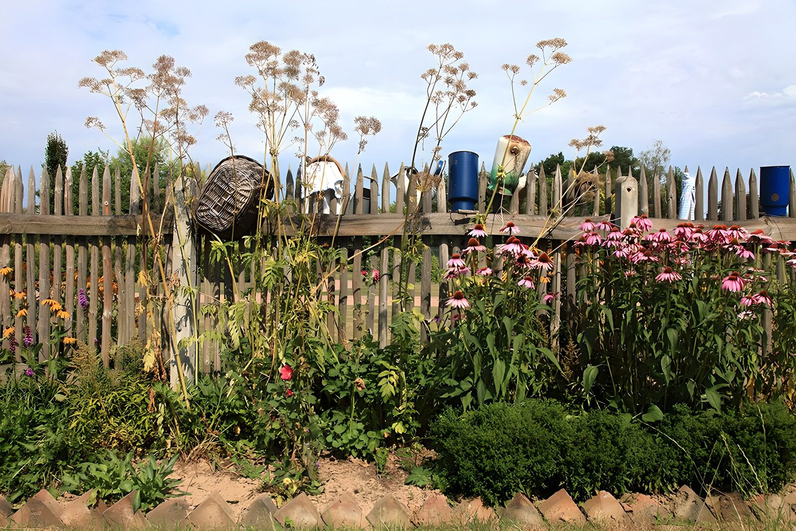 TPFR88155: Jardins colorés près de la clôture
