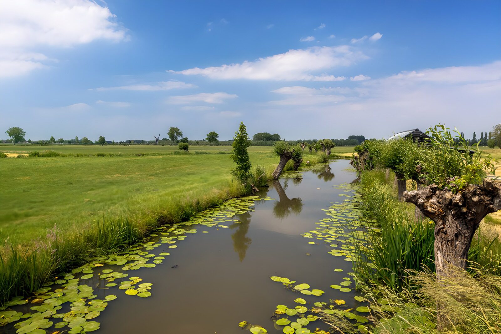 TPFR97942: Paysage paisible avec un ruisseau
