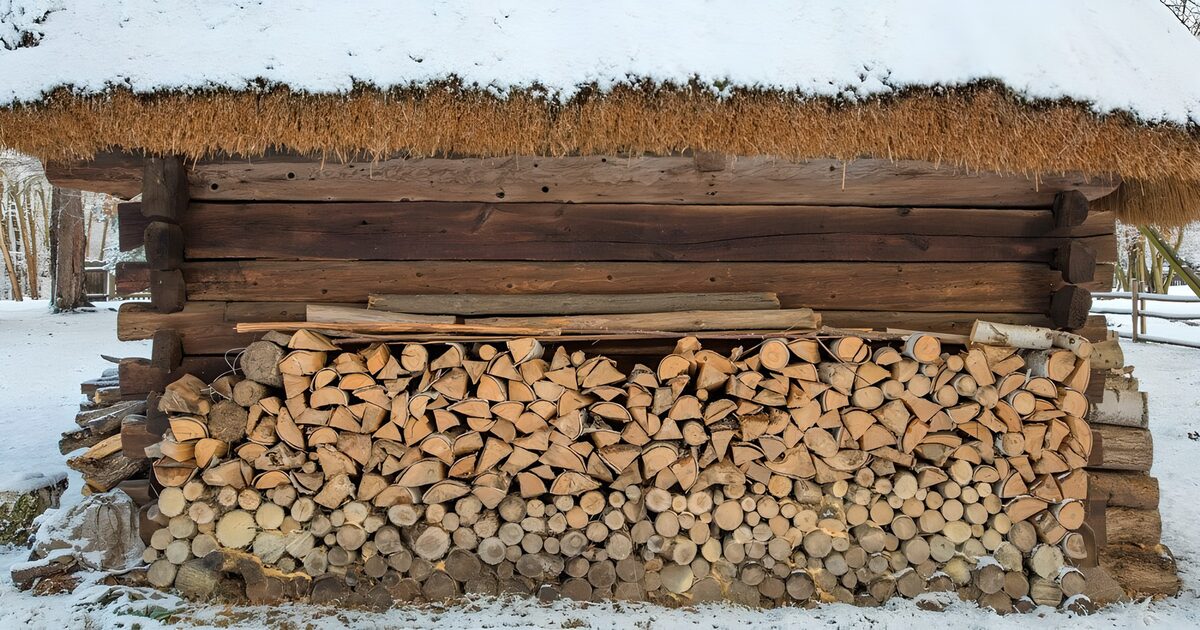 TPFR22601: Abri à bois enneigé