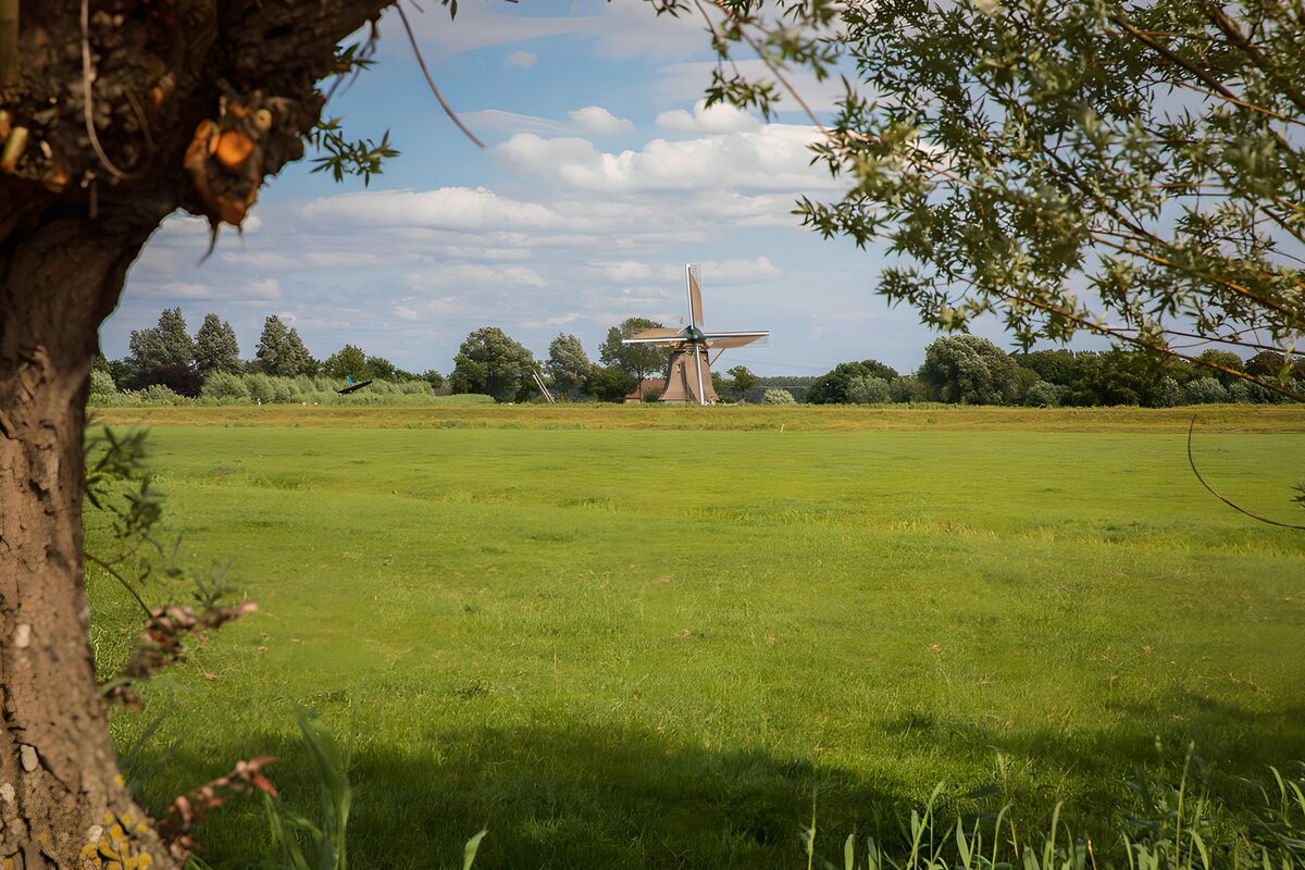 TPFR58251: Moulin au milieu des champs verdoyants