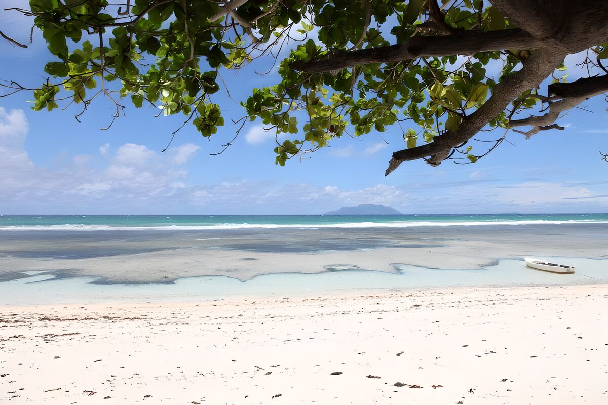 TPFR59061: Plage paradisiaque sous un ciel bleu