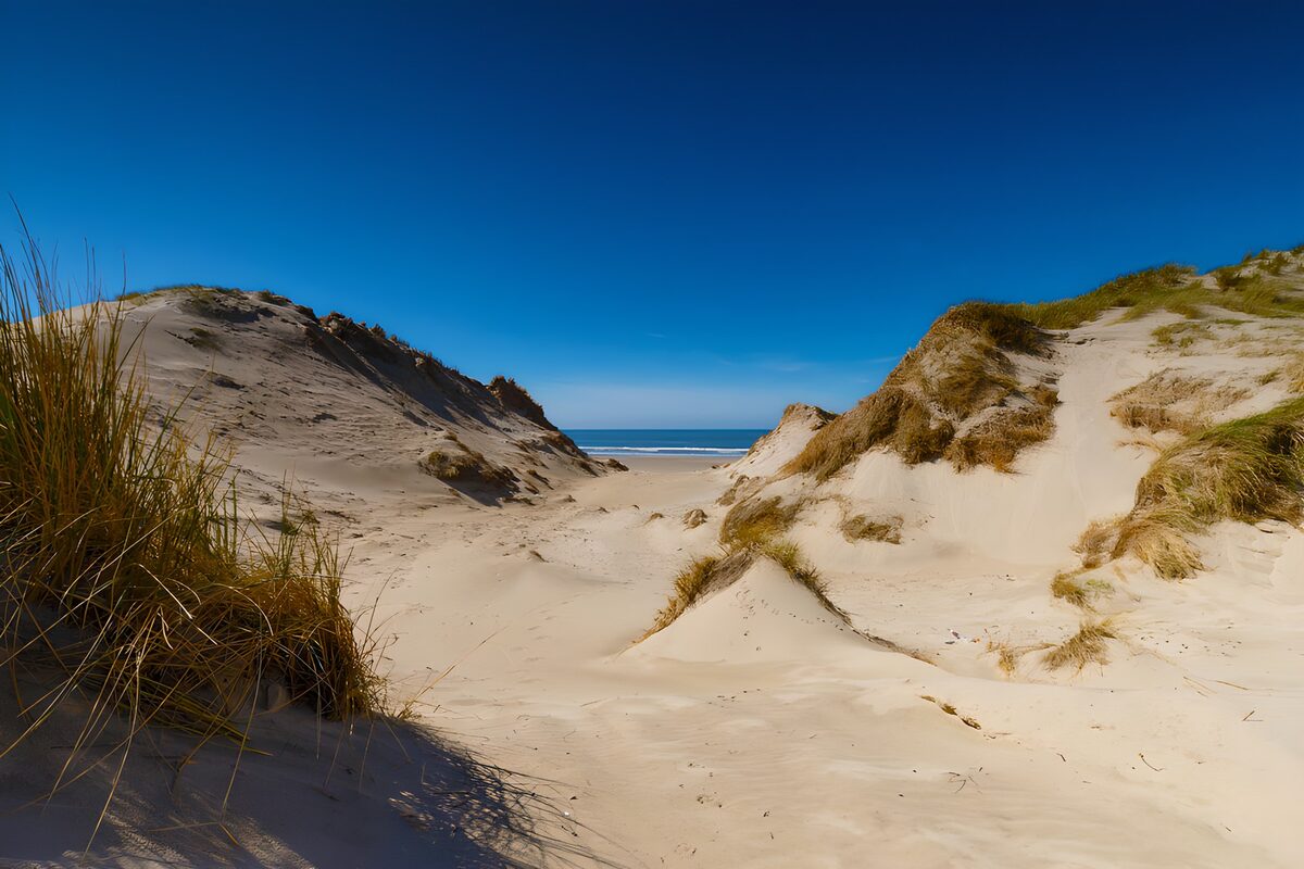 TPFR63976: Plage sereine entre les dunes
