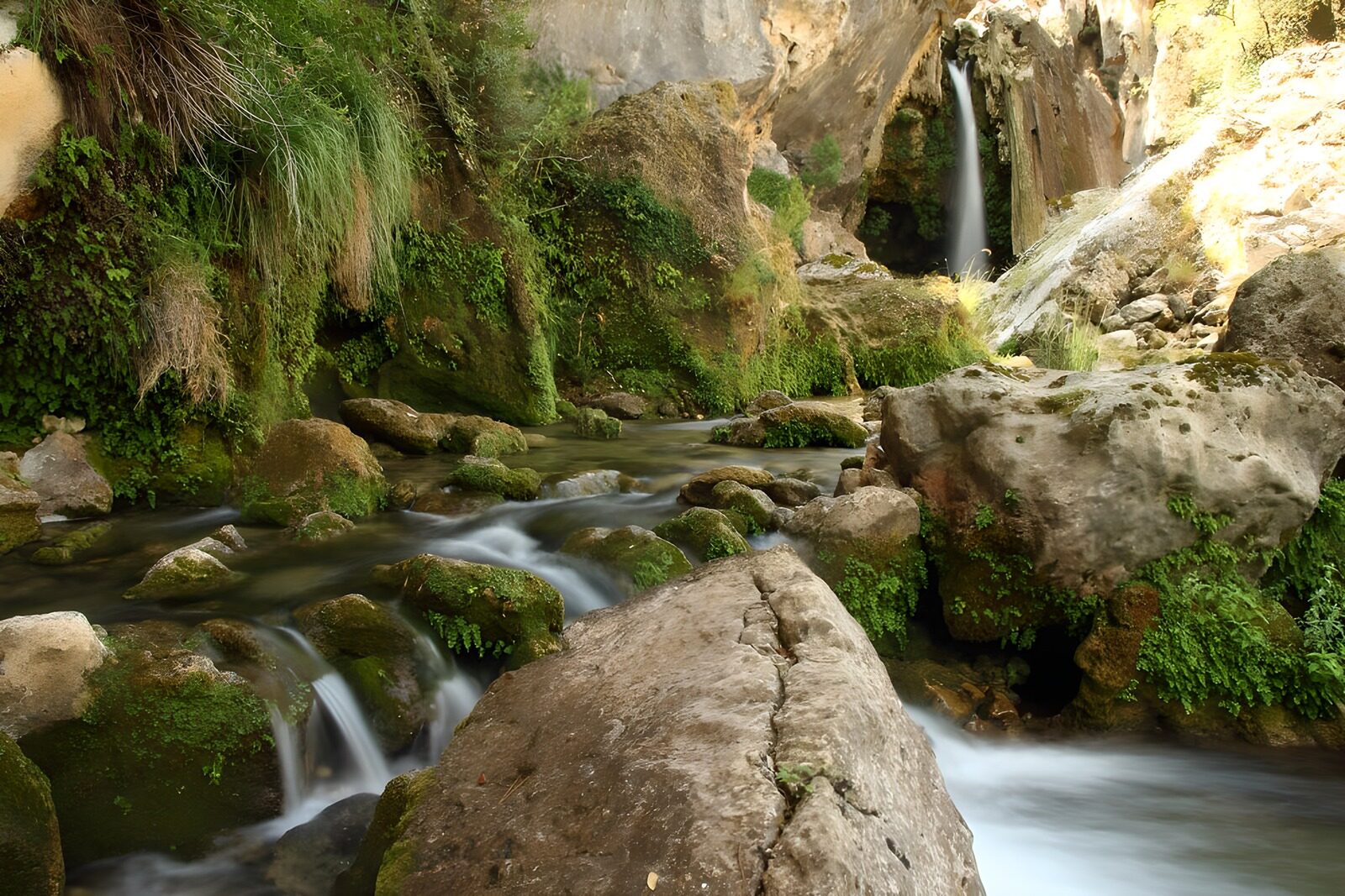 TPFR33343: Cascade paisible au cœur de la nature