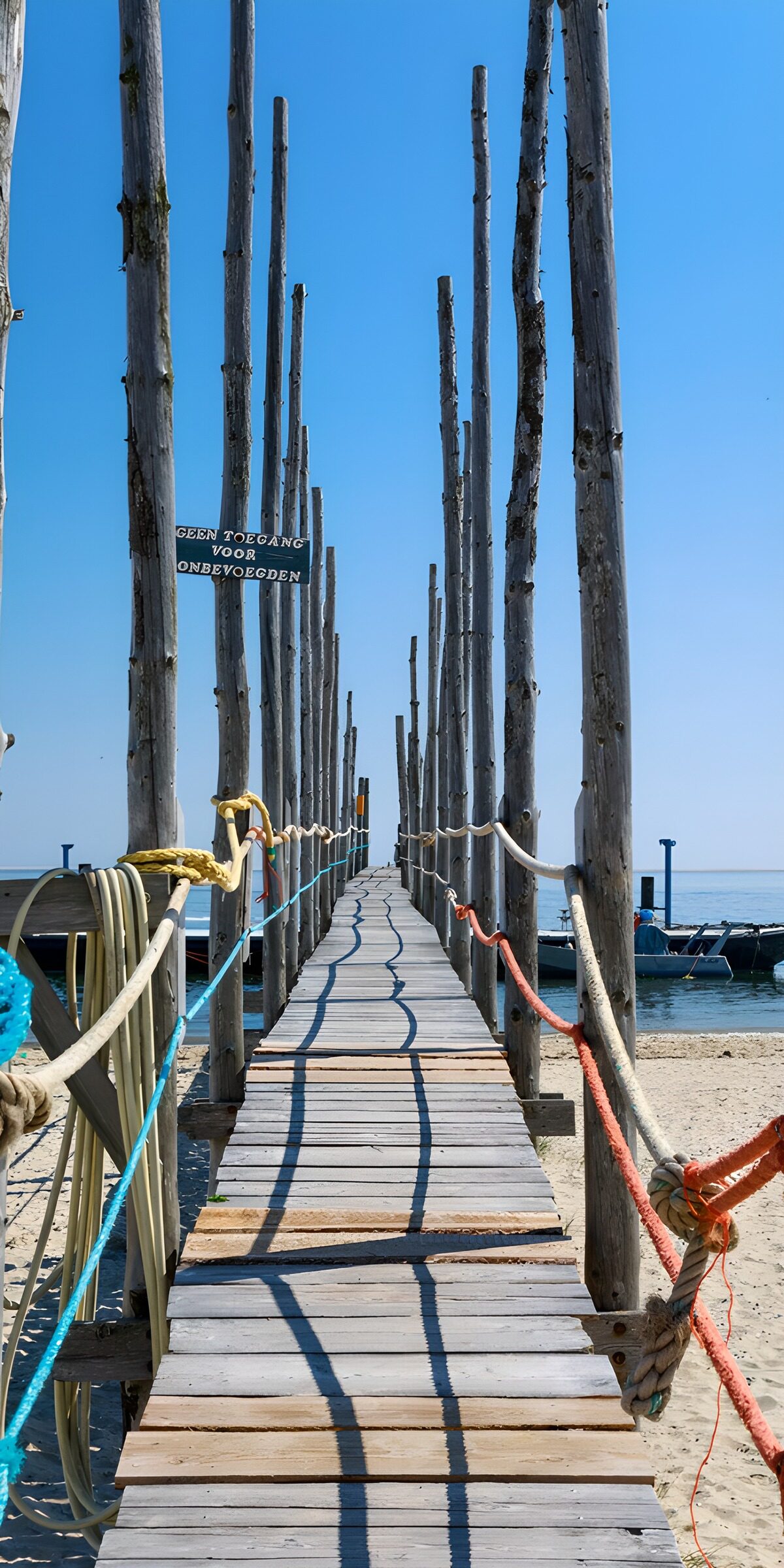 TPFR66873: Sentier de bois vers la mer
