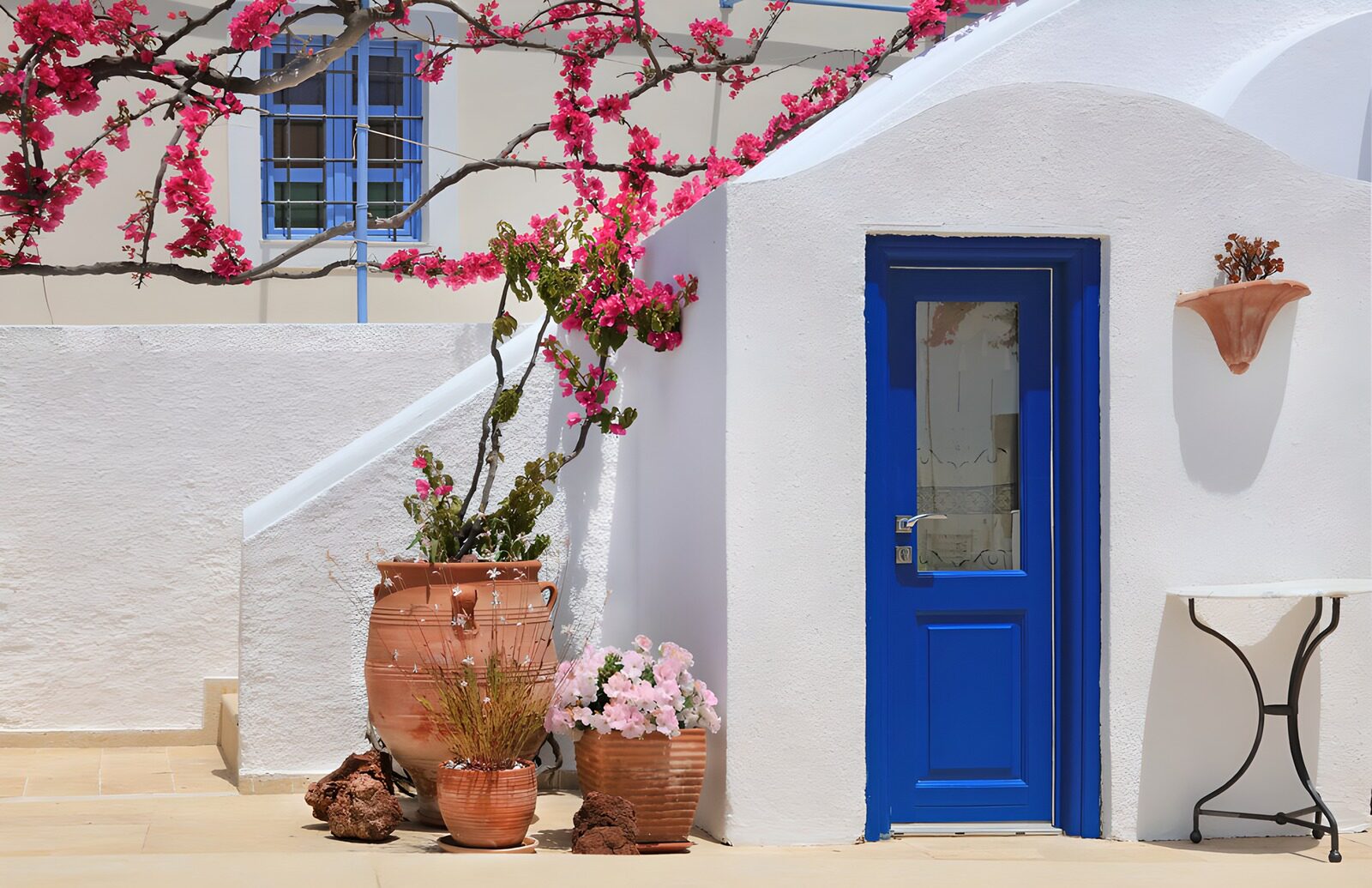 TPFR30917: Porte bleue et fleurs vibrantes