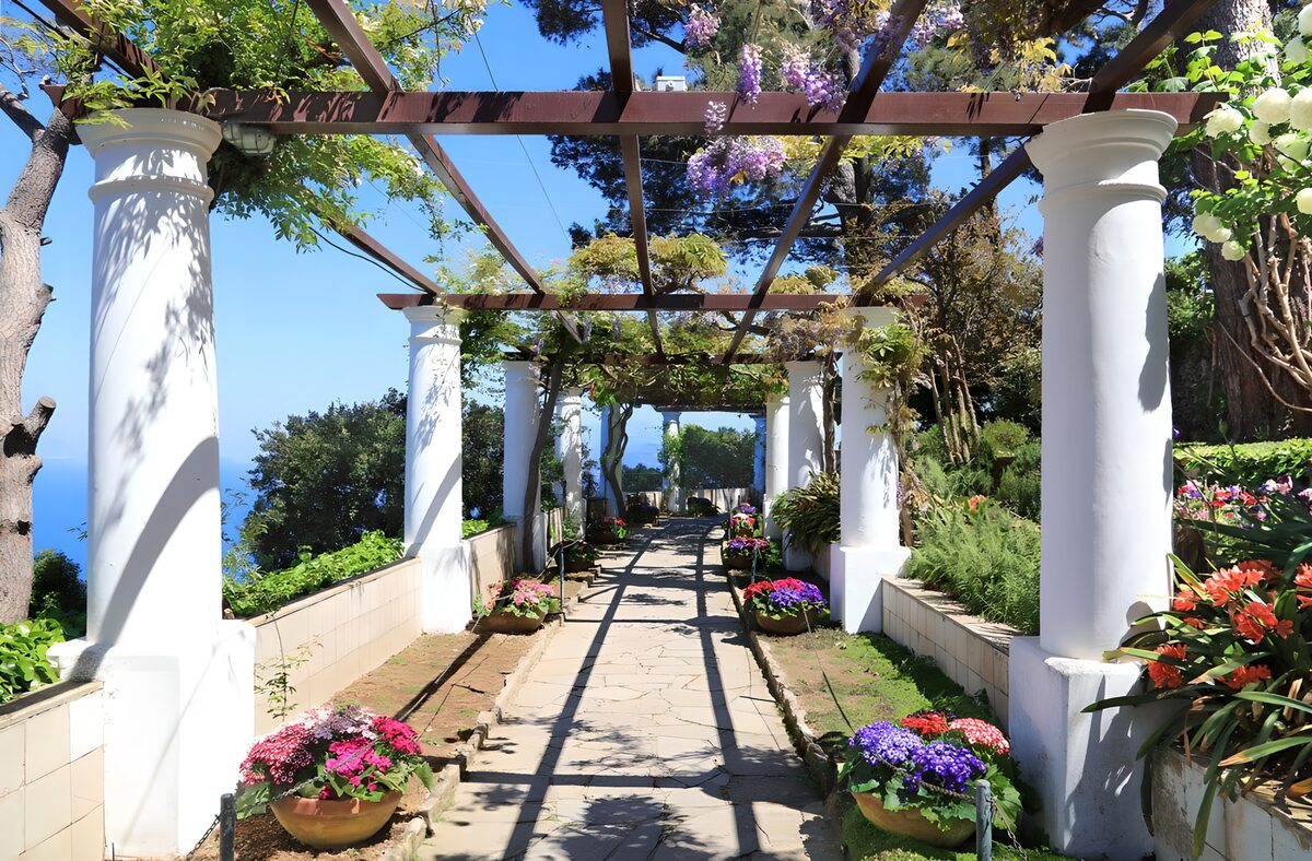 TPFR52679: Allée fleurie sous une pergola ensoleillée