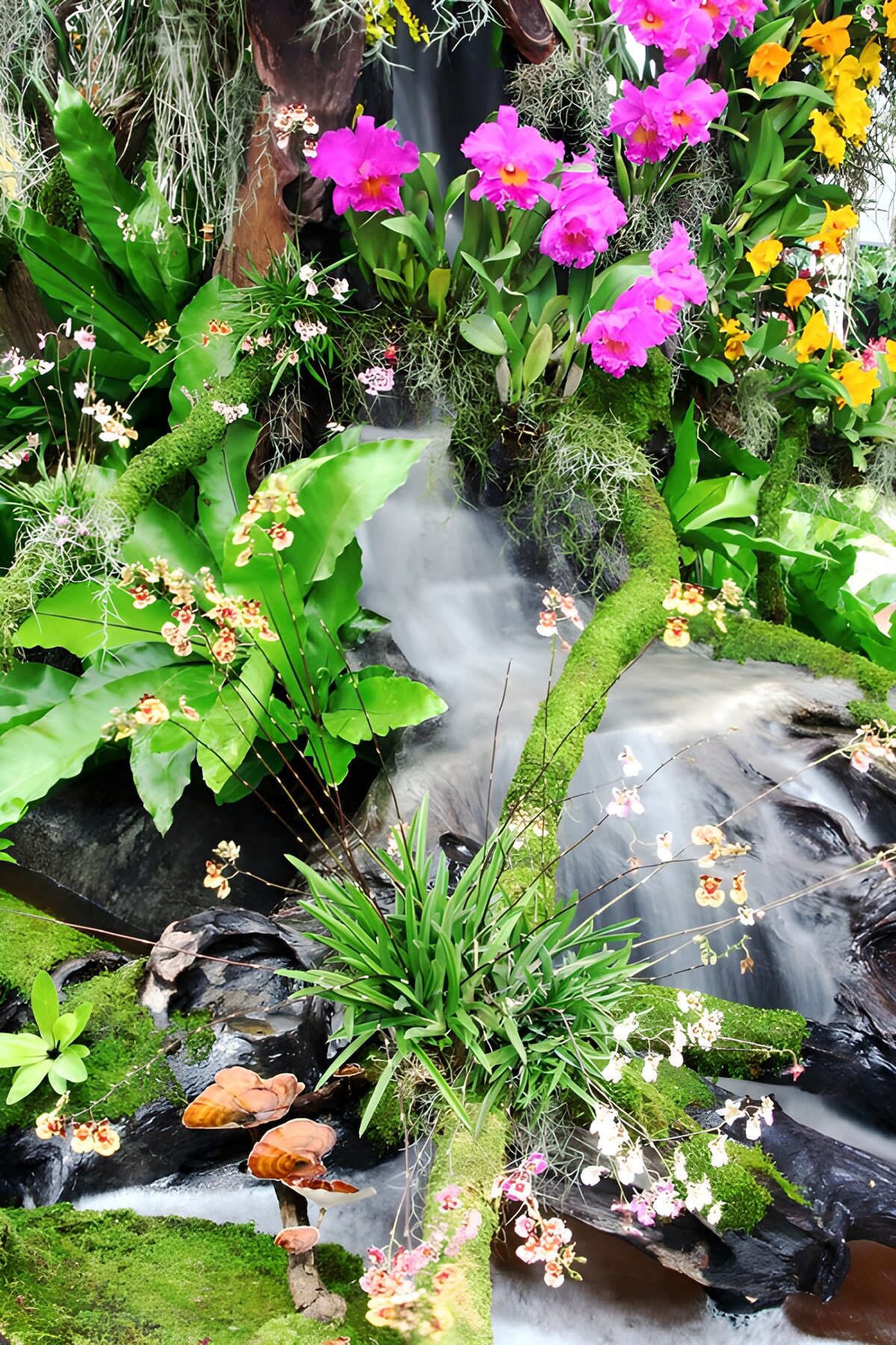 TPFR28155: Éden de Fleurs et Cascades