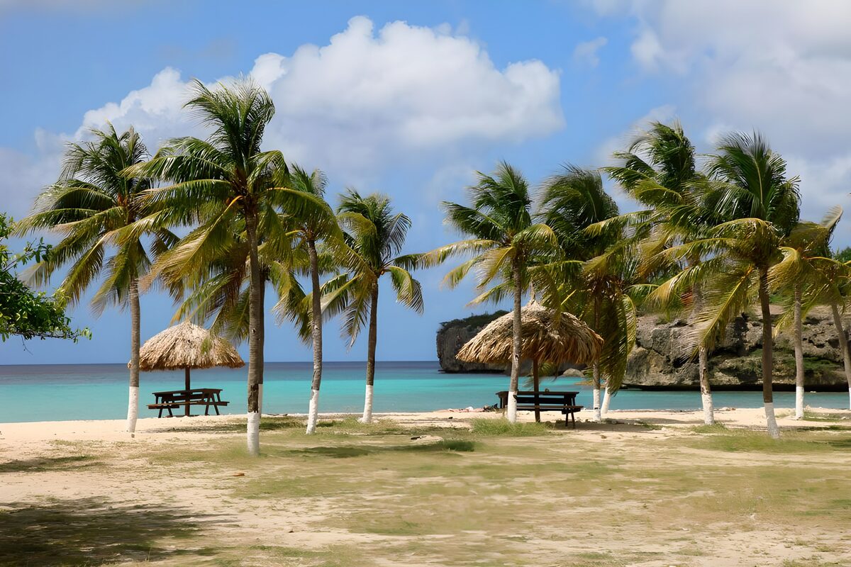 TPFR52471: Palmiers près d'une plage