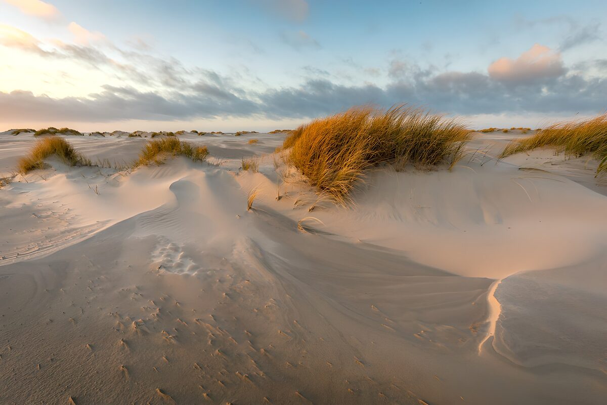 TPFR69530: Dunes de sable au coucher du soleil