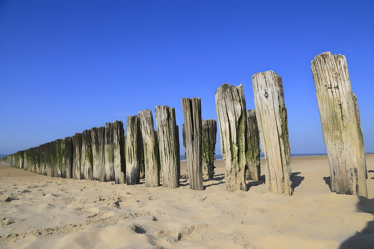 TPFR74657: Pieux de plage au bord de la mer