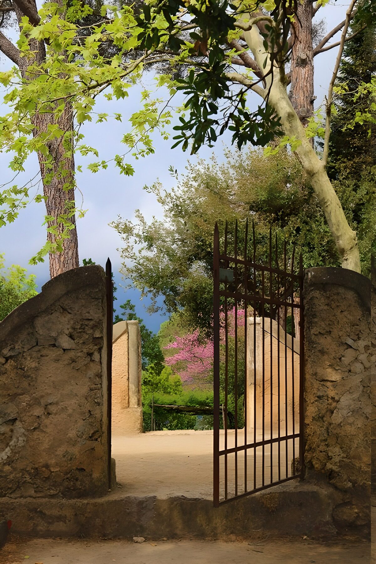 TPFR50397: Porte sur un chemin verdoyant