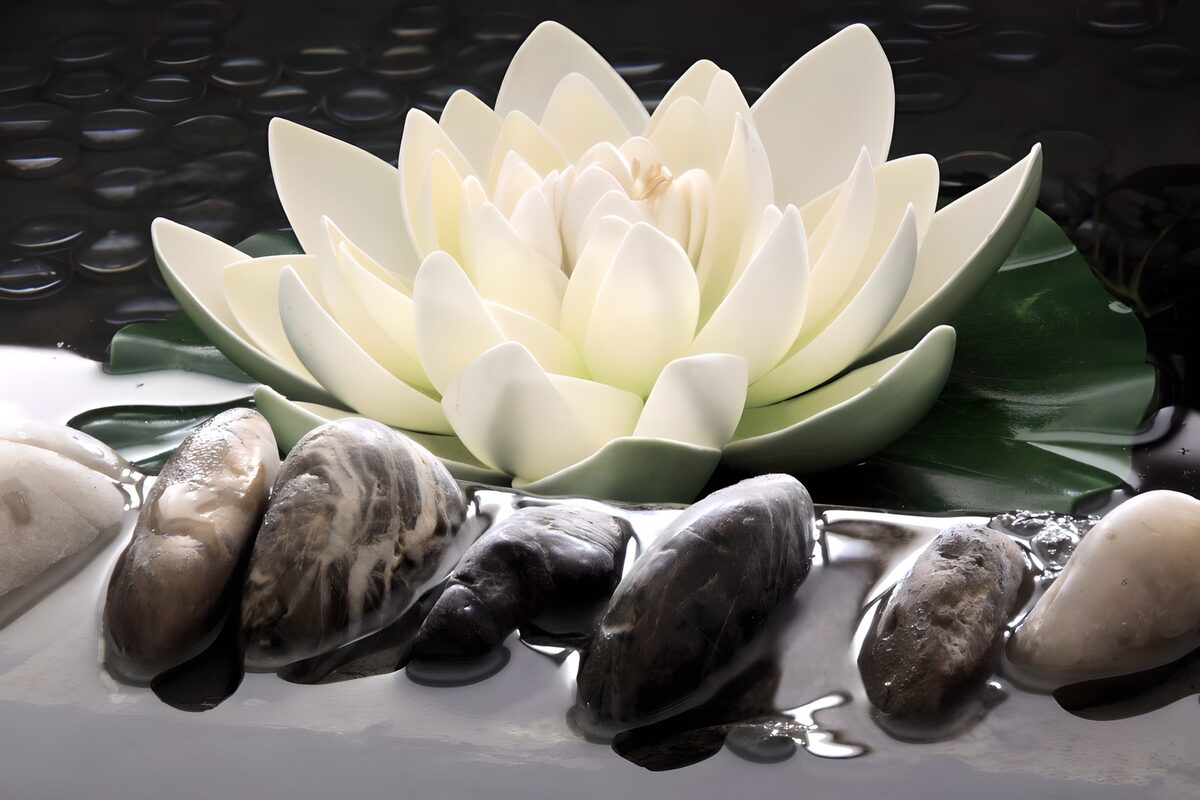 Fleur de lotus sur des pierres apaisantes