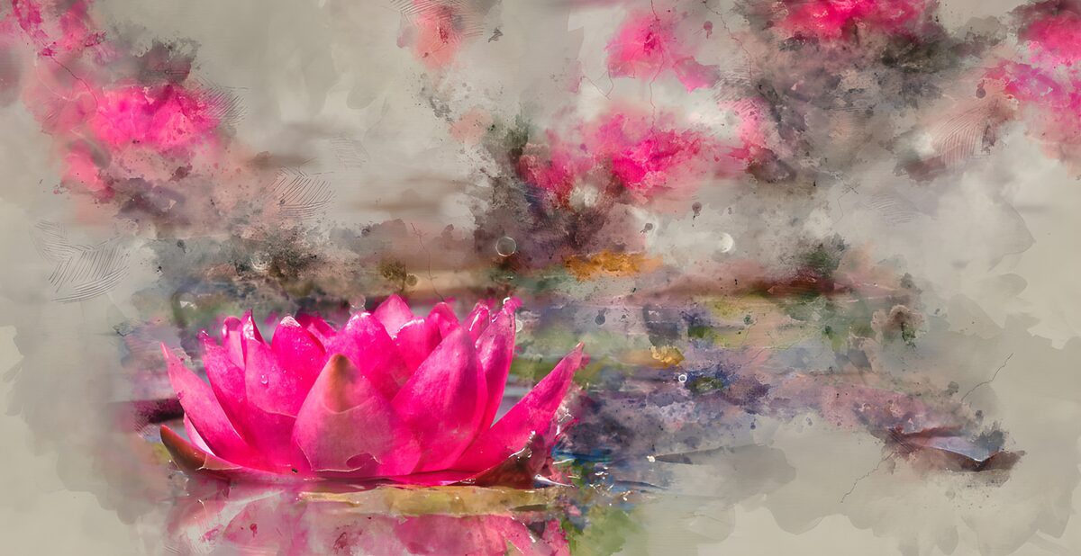 Fleur de lotus rose en aquarelle